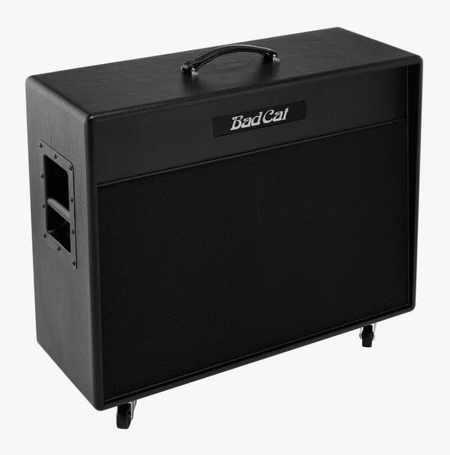 Bad Cat Closed Back 2x12 Cab, pannello dei controlli in primo piano