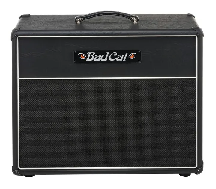 Bad Cat Cub V 1x12 Cab, pannello dei controlli in primo piano