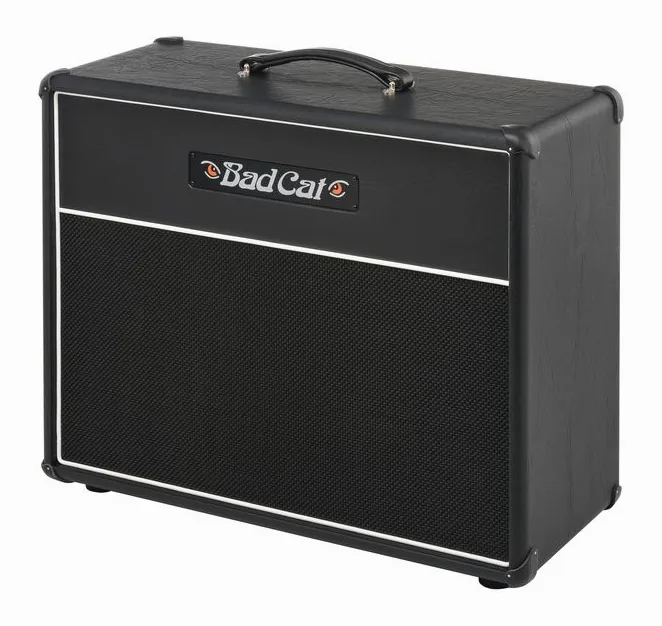 Bad Cat Cub V 1x12 Cab fotografato frontalmente