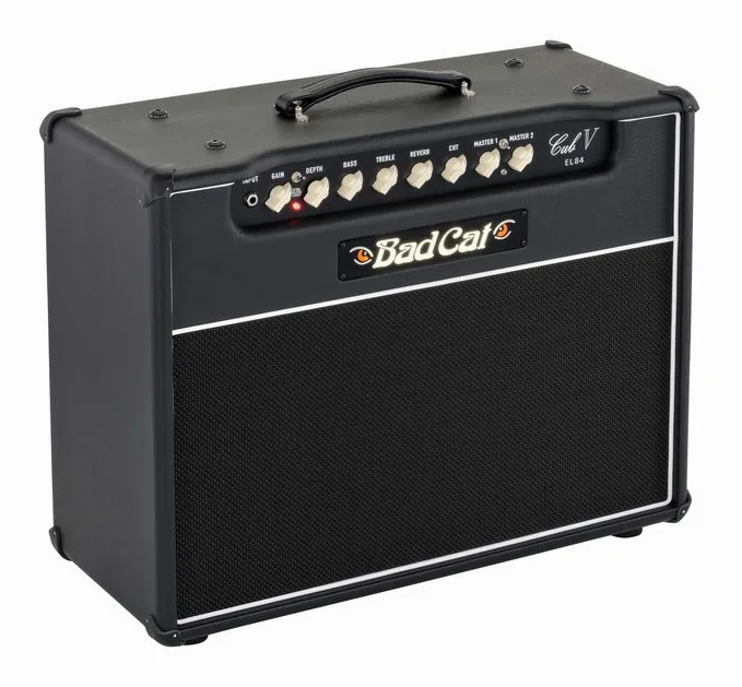 Bad Cat Cub V EL84 1x12 Combo, manopole e selettore dei canali