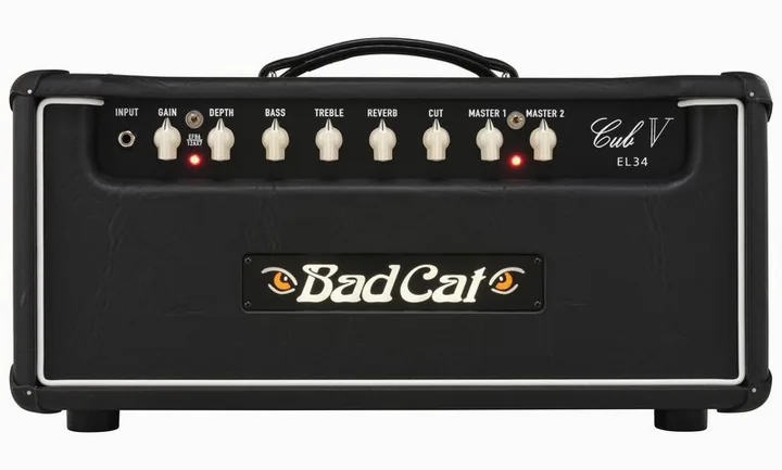 Bad Cat Cub V EL34 Head, pannello dei controlli in primo piano
