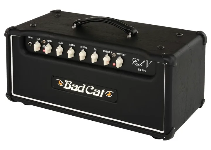 Bad Cat Cub V EL84 Head inquadrato di fronte su sfondo neutro