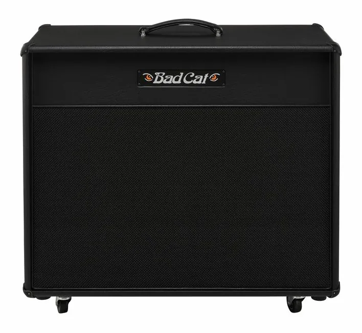 Bad Cat Era 2x12 Cabinet, retro con le prese di collegamento