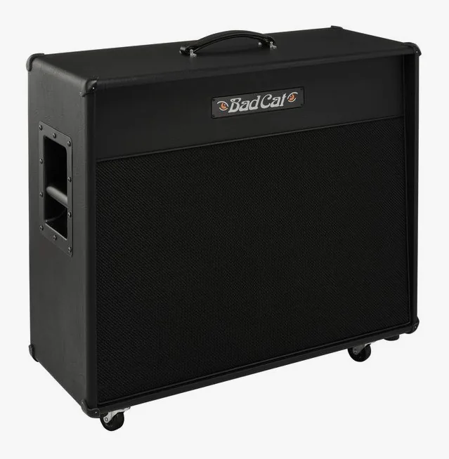 Bad Cat Era 2x12 Cabinet, angolo del cabinet