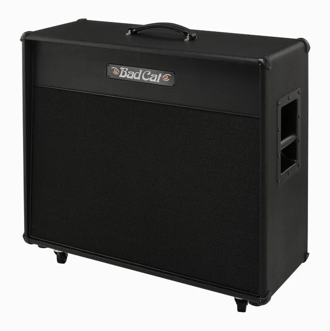 Bad Cat Era 2x12 Cabinet in primo piano frontale