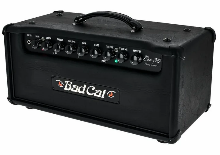Bad Cat Era 30 Head, griglia dell'altoparlante