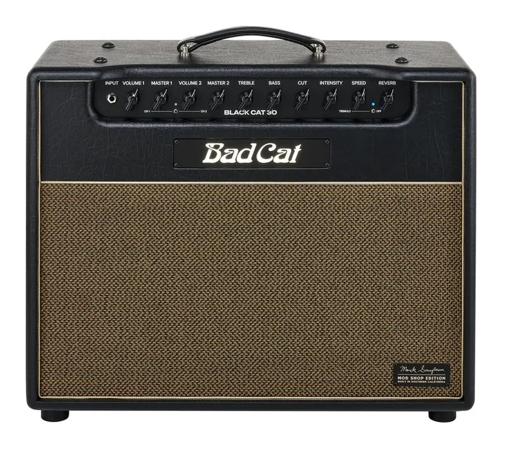 Bad Cat Mod Shop Black Cat 30 Combo, retro con le prese di collegamento