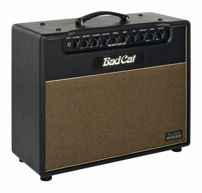 Bad Cat Mod Shop Black Cat 30 Combo, logo e finiture del pannello frontale