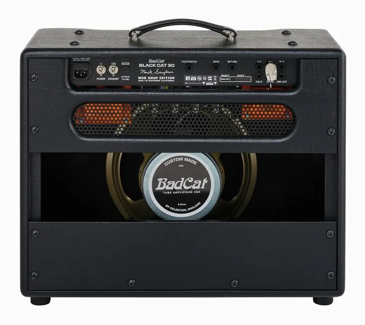 Bad Cat Mod Shop Black Cat 30 Combo, angolo del cabinet