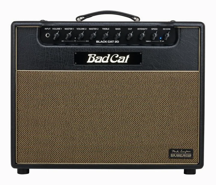 Bad Cat Mod Shop Black Cat 30 Combo, angolo del cabinet