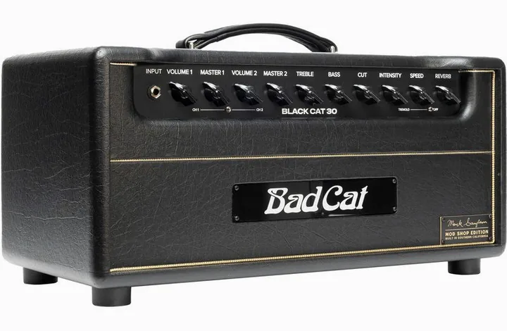 Bad Cat Mod Shop Black Cat 30 Head, logo e finiture del pannello frontale