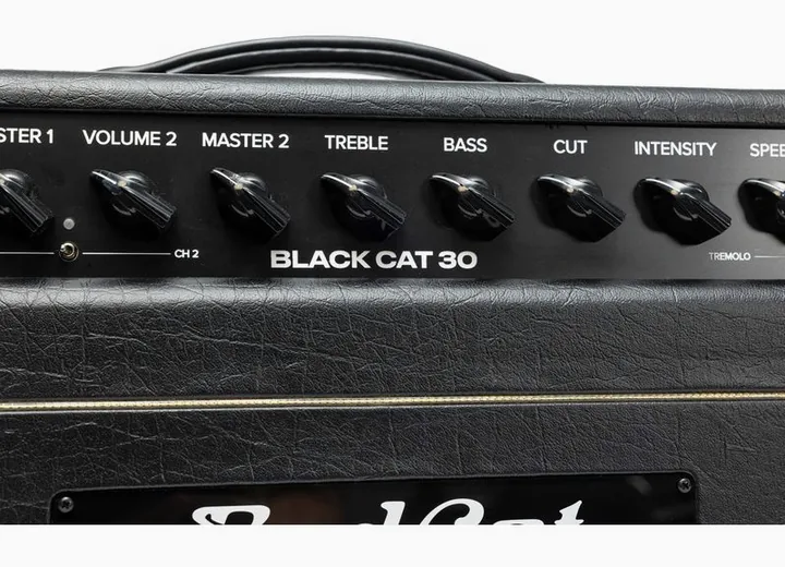 Bad Cat Mod Shop Black Cat 30 Head, angolo del cabinet