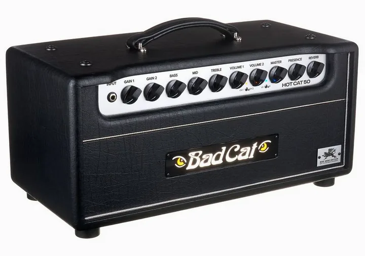 Bad Cat Mod Shop Hot Cat 50 Head, retro con le prese di collegamento