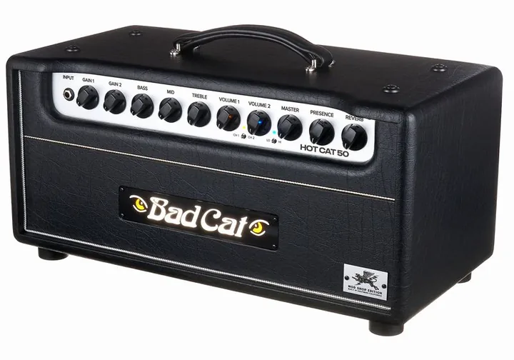 Bad Cat Mod Shop Hot Cat 50 Head visto di fronte