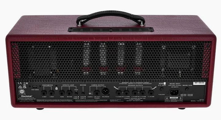 Blackstar DA100 Ruby D.Aldrich Signature, logo e finiture del pannello frontale
