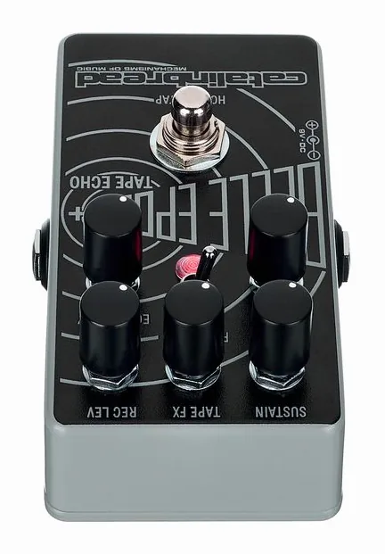 Catalinbread Belle Epoch+ Tape Echo, led e interruttore a pedale
