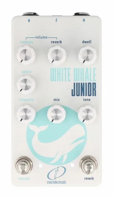 Crazy Tube Circuits White Whale JR, connettori sul retro dell'unita