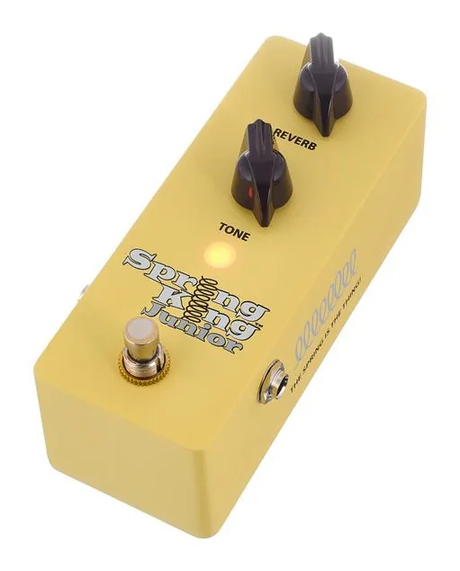 Danelectro SKJ-1 Spring King Junior, grafica del pannello superiore