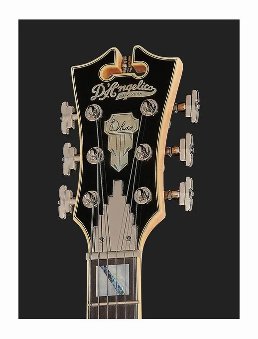 DAngelico Deluxe Bedford DG, manico e tastiera visti di lato