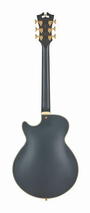DAngelico Deluxe Bobby Weir 3 MS, capotasto e prime posizioni della tastiera