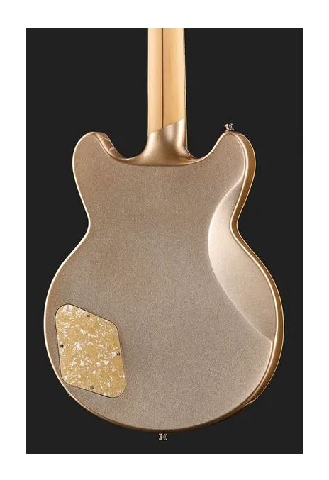 DAngelico Deluxe Brighton Desert Gold, pickup e manopole dei controlli