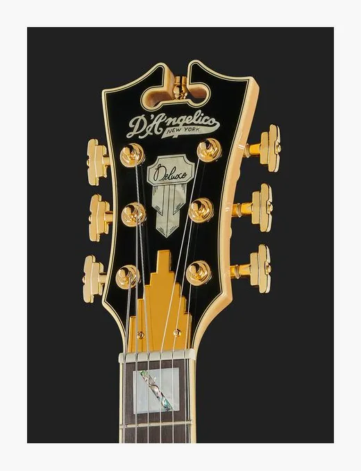 DAngelico Deluxe Brighton Solid Black, paletta con meccaniche e logo