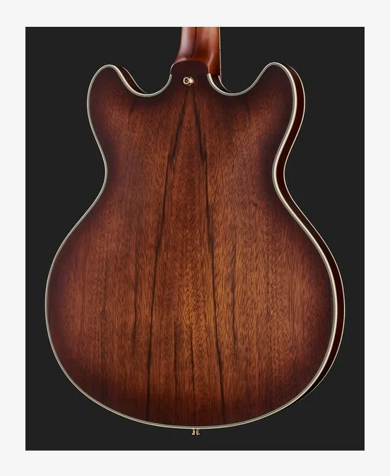DAngelico Deluxe DC Satin Brown Burst, pickup e manopole dei controlli