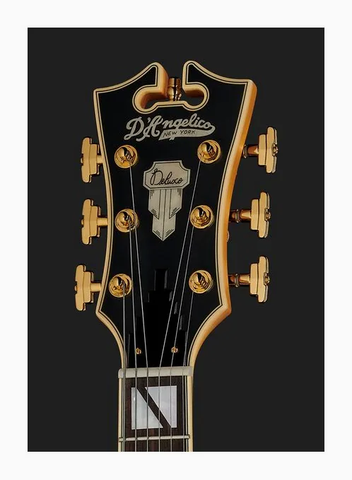 DAngelico Deluxe DC Satin Honey, paletta con meccaniche e logo
