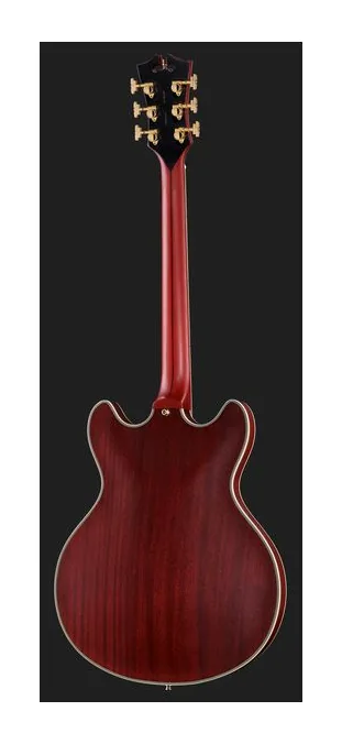 DAngelico Deluxe DC Satin Trans Wine, paletta con meccaniche e logo