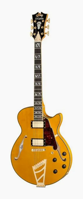 DAngelico Excel SS Amber inquadrato di fronte su sfondo neutro