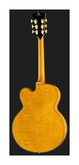 DAngelico Excel EXL1 Amber, paletta con meccaniche e logo