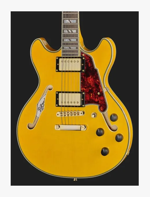 DAngelico Excel Mini DC Amber, pickup e manopole dei controlli