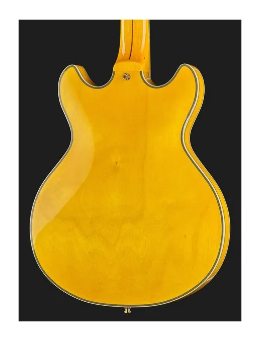 DAngelico Excel Mini DC Amber, vista posteriore del corpo