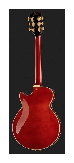 DAngelico Excel SS Viola, pickup e manopole dei controlli