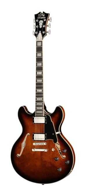 DAngelico Premier DC Brown Burst in primo piano frontale