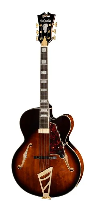 DAngelico Premier EXL1 Brown Burst fotografato frontalmente