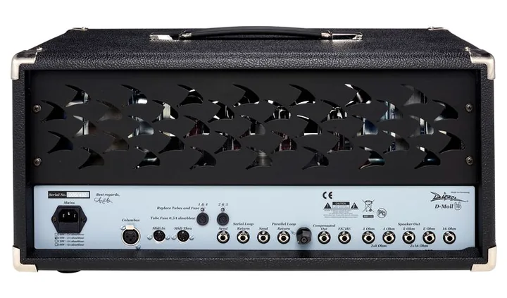 Diezel D-Moll EL34 Classic Head, pannello dei controlli in primo piano