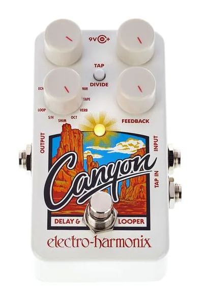 Electro Harmonix Canyon Delay & Looper, footswitch in primo piano