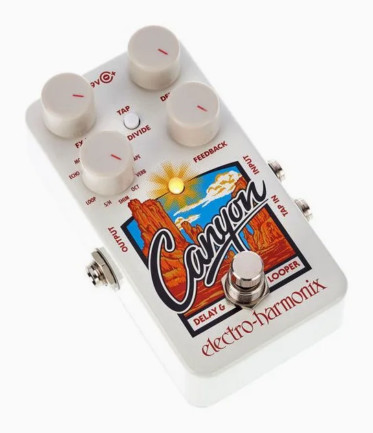 Electro Harmonix Canyon Delay & Looper, footswitch in primo piano