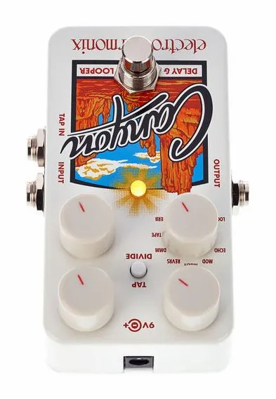 Electro Harmonix Canyon Delay & Looper, grafica del pannello superiore