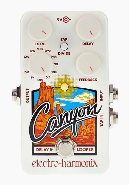 Electro Harmonix Canyon Delay & Looper, footswitch in primo piano