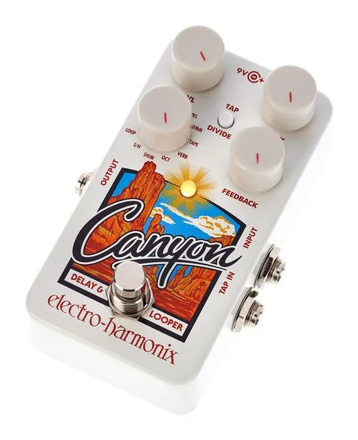Electro Harmonix Canyon Delay & Looper visto di fronte