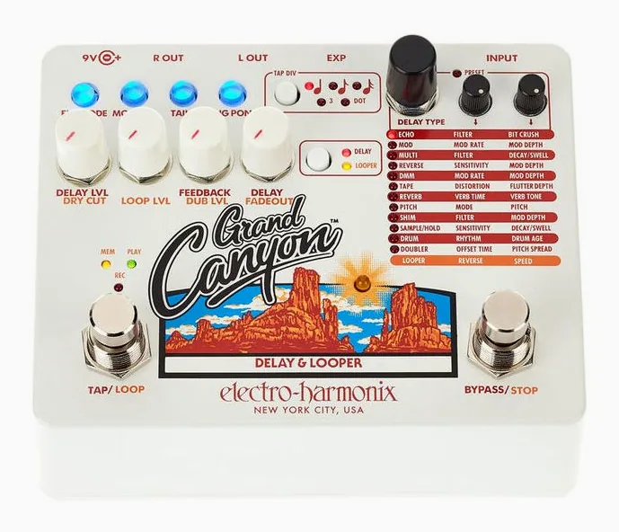 Electro Harmonix Grand Canyon, led e interruttore a pedale