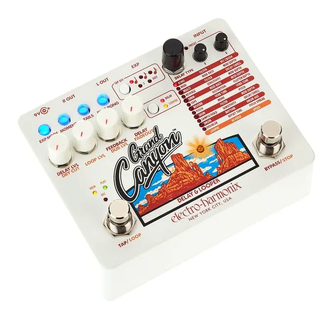 Electro Harmonix Grand Canyon, ingressi e uscite laterali