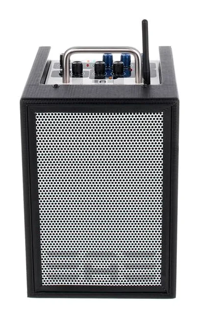 Elite Acoustics A1-4 Acoustic Amplifier MKII, retro con le prese di collegamento
