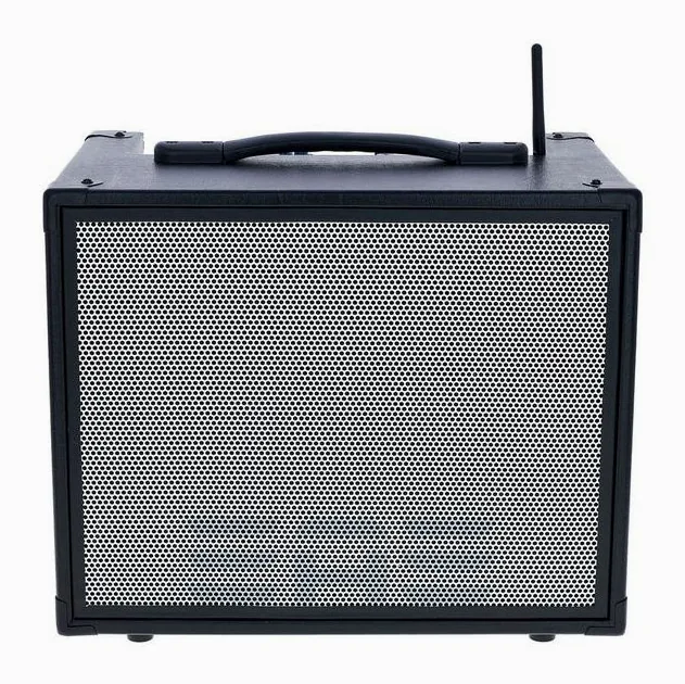 Elite Acoustics D6-58 Acoustic Amplifier, logo e finiture del pannello frontale