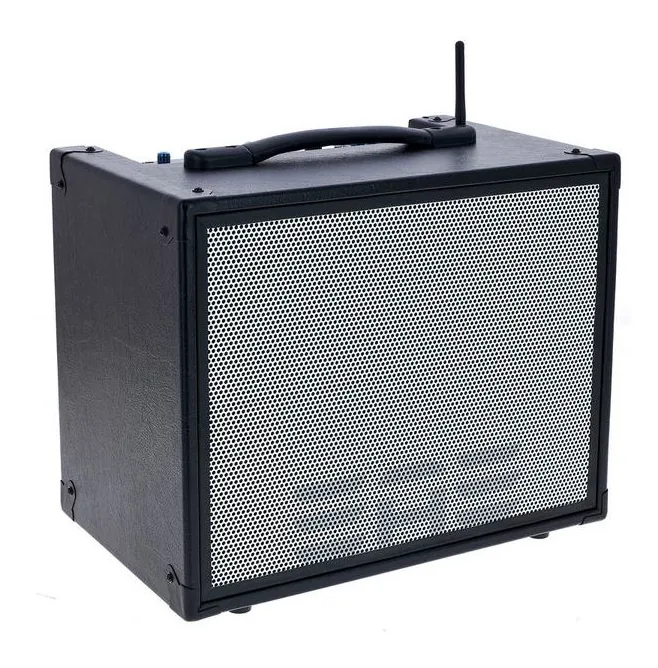 Elite Acoustics D6-58 Acoustic Amplifier, griglia dell'altoparlante