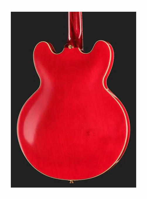 Epiphone Gem Archer Sheraton Mbilt CR, pickup e manopole dei controlli