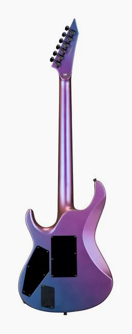 ESP E-II M-I Thru NT DCARS, pickup e manopole dei controlli