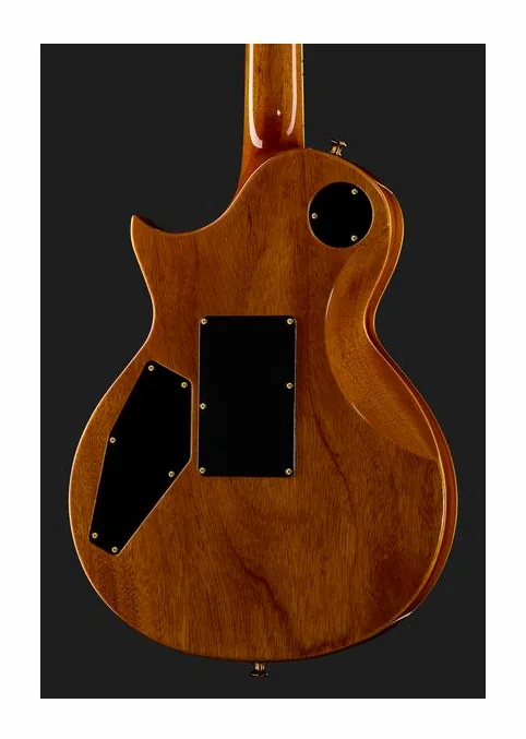 ESP Eclipse FR QM SD TES, paletta con meccaniche e logo